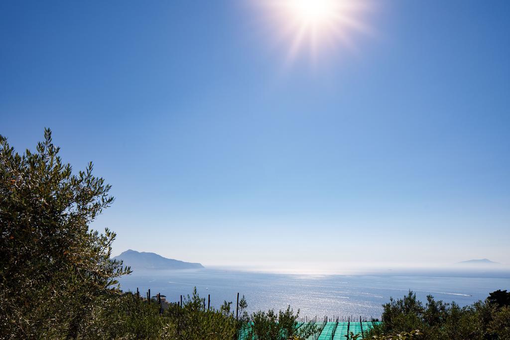 Il Nido Del Gabbiano Apartamento Massa Lubrense Exterior foto